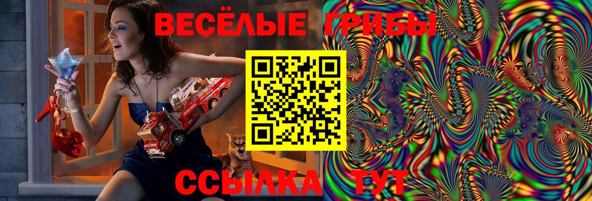 Россошь  Псилоцибиновые грибы MAGIC MUSHROOMS  Вход с VPN 